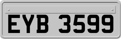 EYB3599