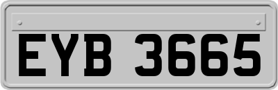 EYB3665