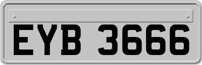 EYB3666