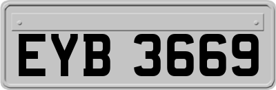 EYB3669
