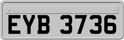EYB3736