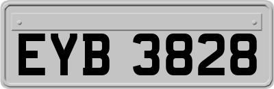 EYB3828
