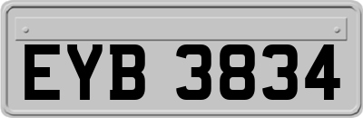 EYB3834
