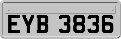EYB3836