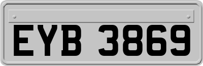 EYB3869