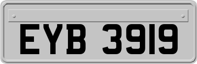 EYB3919