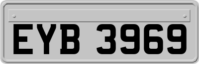 EYB3969