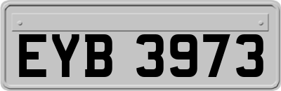 EYB3973