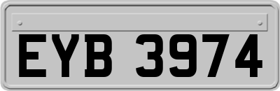 EYB3974