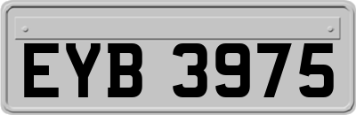 EYB3975
