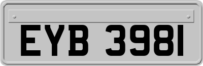 EYB3981