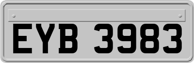 EYB3983