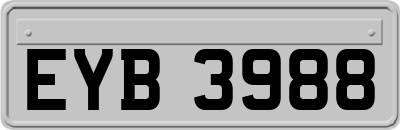 EYB3988