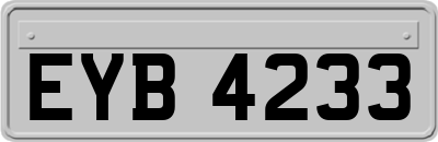 EYB4233