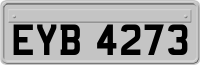EYB4273