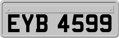EYB4599