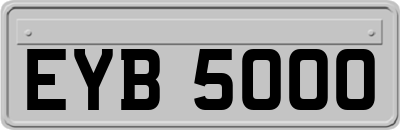 EYB5000