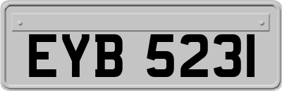 EYB5231