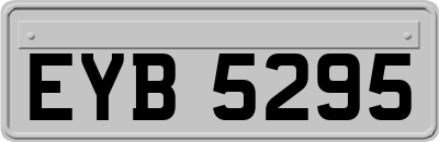 EYB5295