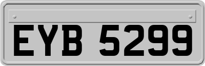 EYB5299