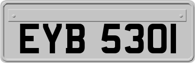 EYB5301
