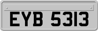 EYB5313