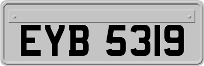 EYB5319