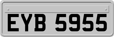 EYB5955