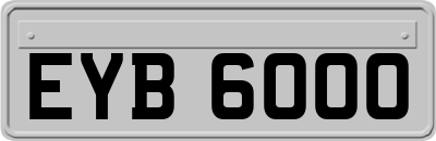 EYB6000
