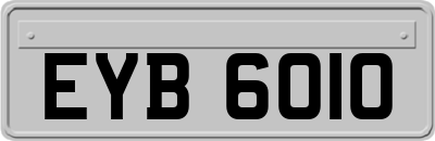 EYB6010