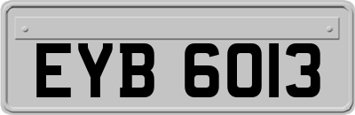 EYB6013