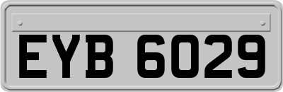 EYB6029