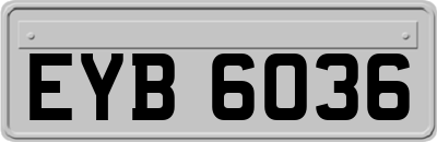 EYB6036