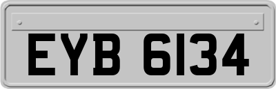 EYB6134