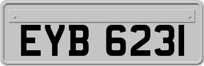 EYB6231