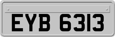 EYB6313