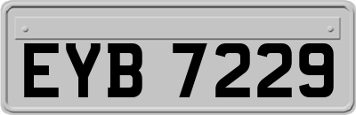 EYB7229