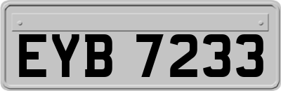 EYB7233