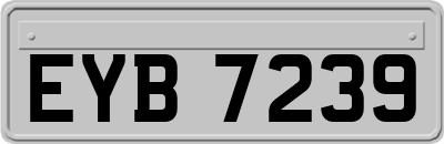 EYB7239