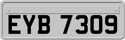 EYB7309