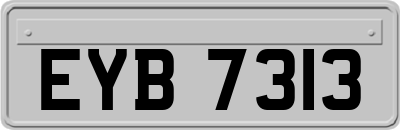 EYB7313