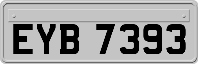 EYB7393