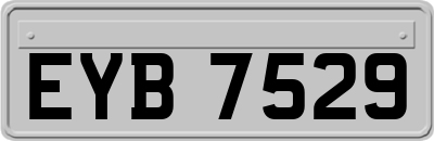 EYB7529