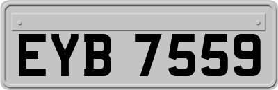 EYB7559