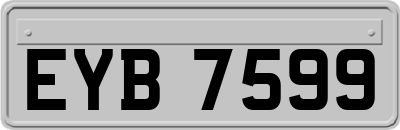 EYB7599