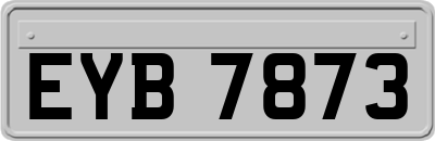 EYB7873