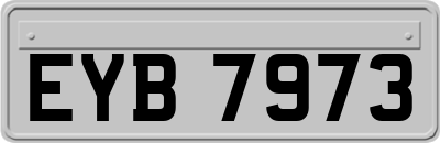 EYB7973