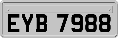 EYB7988