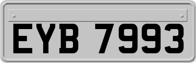 EYB7993