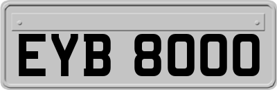 EYB8000